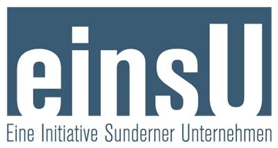 logo-einsu